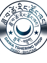 DTT Logo
